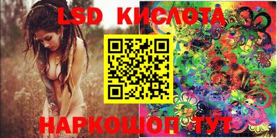 кокс Владимир