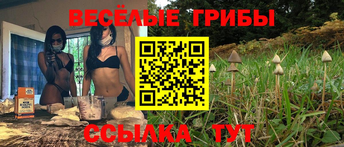 Псилоцибиновые грибы GOLDEN TEACHER  Вход с VPN  Артёмовский 