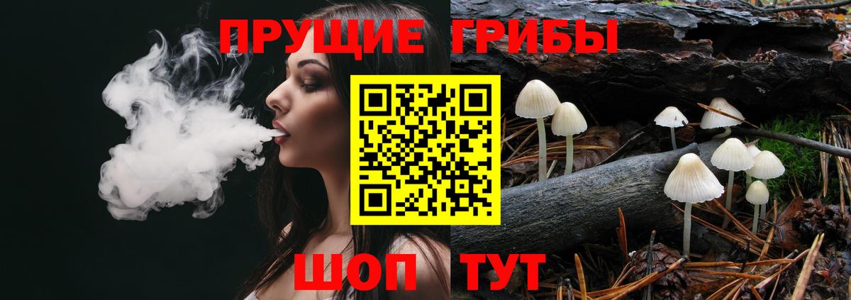 Псилоцибиновые грибы прущие грибы Артёмовский